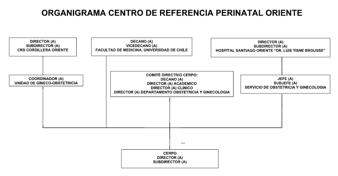 Imagen Organigrama