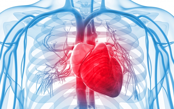 Imagen Preeclampsia y sistema cardiovascular materno